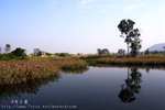 RIMG0245_c