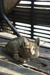 RIMG0286_c