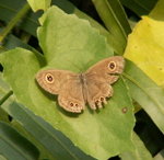 PICT0119a
