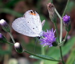 PICT0123b
