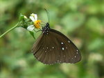 PICT0136b