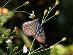 PICT0144b