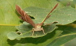 PICT0146c