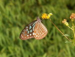 PICT0160b