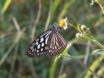 PICT0161b