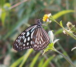 PICT0162b