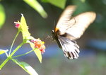 PICT0022