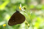 PICT0030
