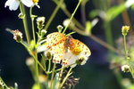 PICT0037