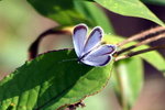 PICT0050