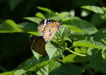 PICT0075