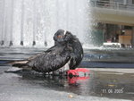PICT0005