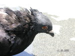 PICT0008