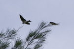 PICT0056