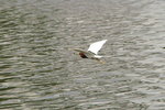 PICT0075