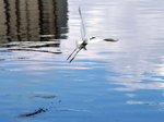 PICT0167a