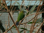 PICT0241