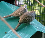 PICT0243
