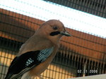 PICT0244