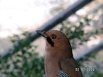 PICT0255