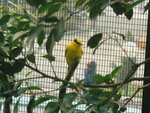 PICT0264
