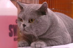 PICT0029