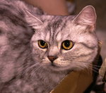 PICT0036