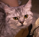 PICT0037