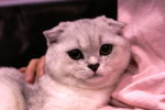 PICT0045