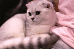 PICT0048