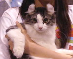 PICT0075