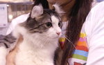 PICT0077