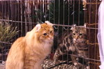 PICT0078