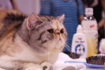 PICT0187