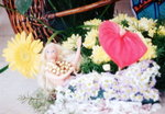 Img00026a