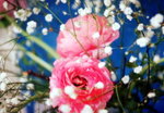Img00027a