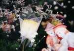 Img00029