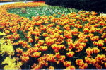 Img00046c