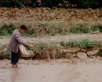 Img00014