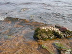 DSCN2195