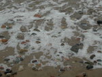 DSCN2323