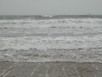 DSCN2324