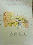 f3 生物實驗圖