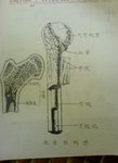 f3 生物實驗圖
