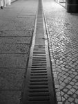 IMG_3411