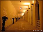 IMG_8936
