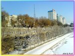 DSC023921