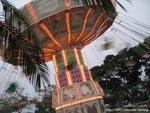 IMG_3768