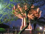 IMG_3783