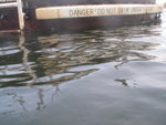 IMGP0301